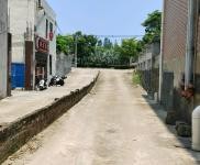 (出租) 出租長彤路300到600平方倉庫，300平辦公住宿。