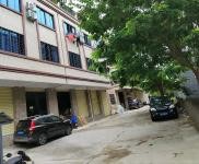 (出租) 出租長彤路300到600平方倉庫，300平辦公住宿。