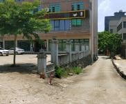 (出租) 出租長彤路300到600平方倉庫，300平辦公住宿。