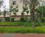 (出售) 屬于江東區拆遷地段，三層，