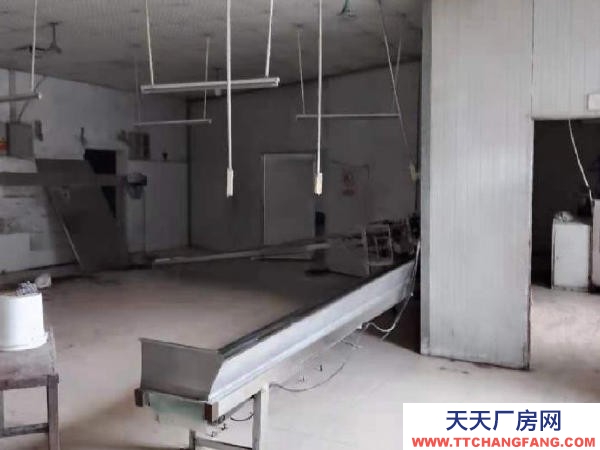 岳陽市岳陽樓區  經開區康王鄉好廠房