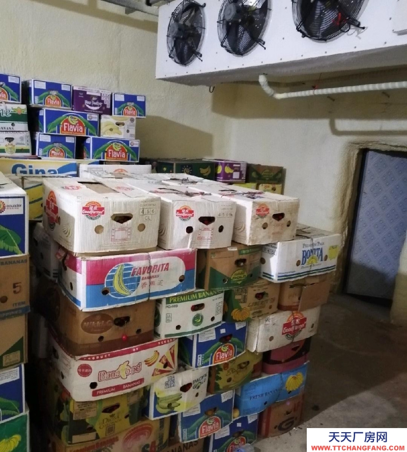 (出租) 遼陽宏偉冷庫 /冷藏庫 /冷凍庫