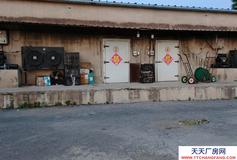 (出租)遼陽宏偉 保鮮冷庫7個庫，每個庫120平方米，適宜儲存各種水果。