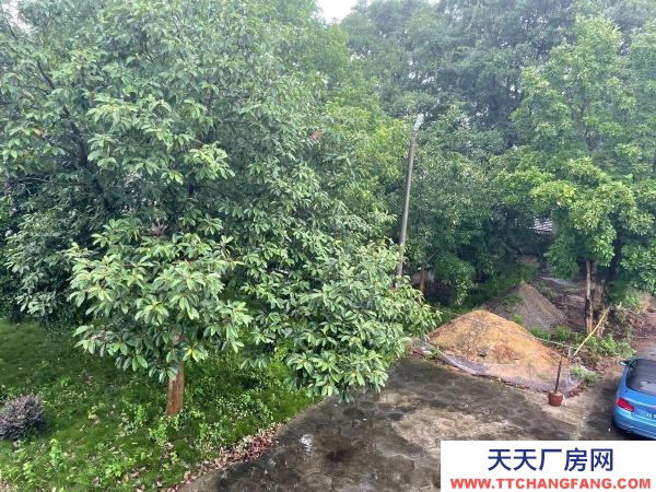 岳陽市岳華容區 超大停車場，湖南湖北交界處，高速路口十，便宜出租