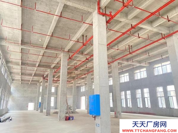 岳陽市岳華容區(qū) 可租可售|華容縣政府建設的四層標準化廠房