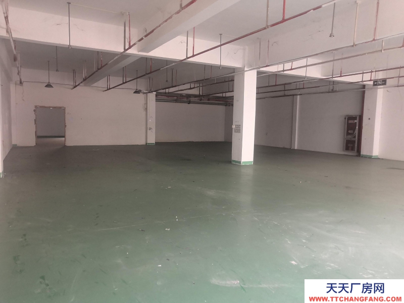 織里的廠房1374平方整層 有3個電梯使用 適合童裝生產加工