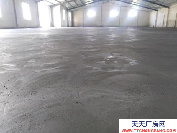 菏澤牡丹臨國花大道，水，動力電，可過大車！寬帶，緊臨國花大道