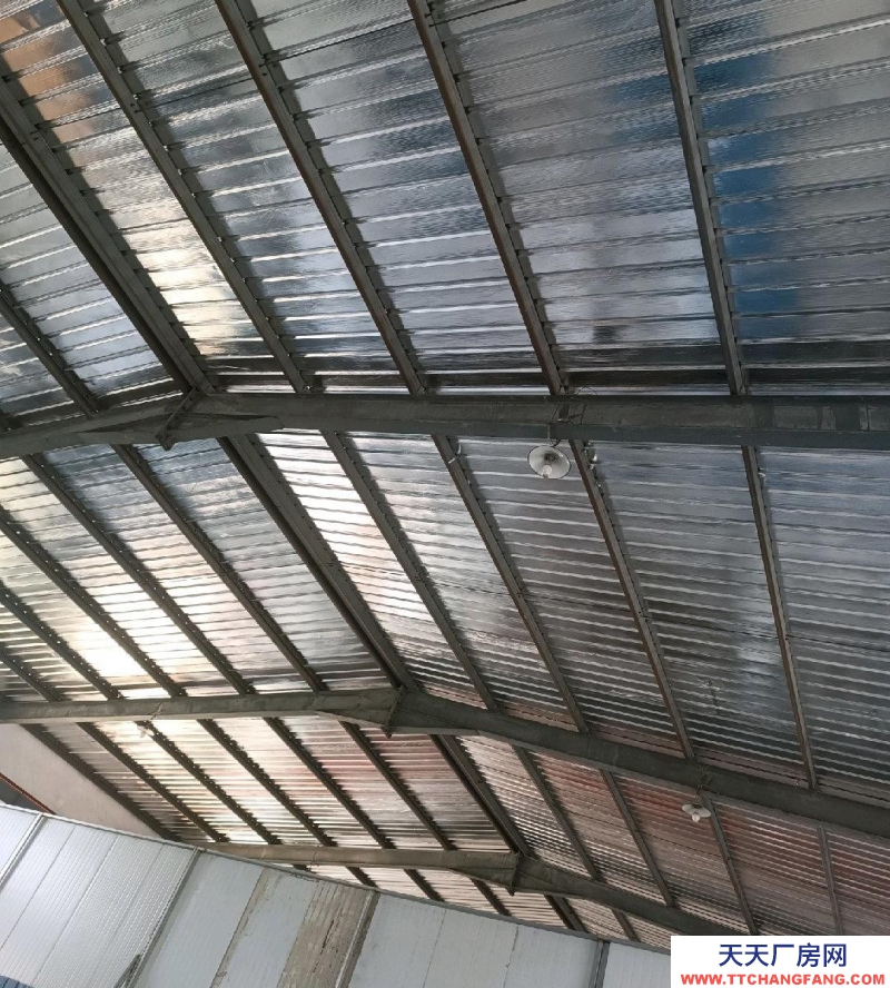 菏澤牡丹區大學路廠房出租