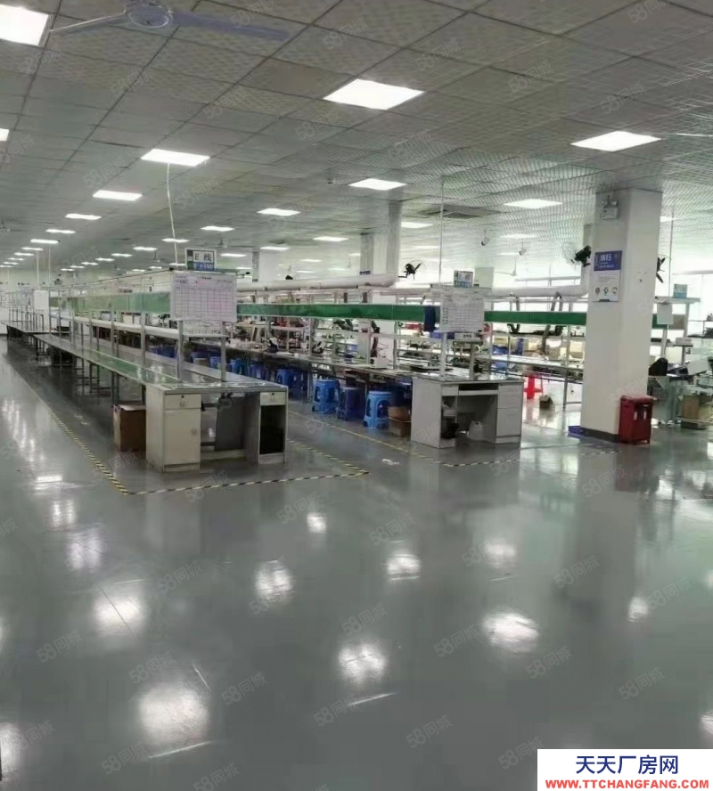 (出租) 深圳光明將石精裝900平低價廠房出租高新研發辦公電商倉庫工業園