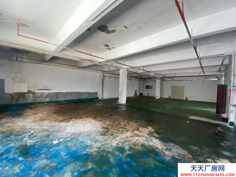 (出租) 深圳沙井衙邊村新出樓上463平米精裝修原房東.價格美麗