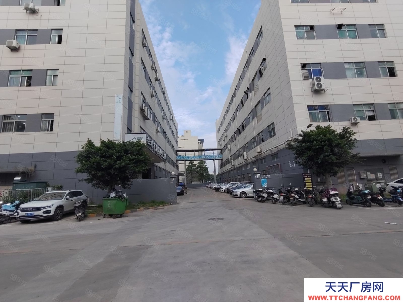 (出租) 深圳石巖塘頭工業園區獨棟廠房1000平起廠房倉庫出租電子辦公