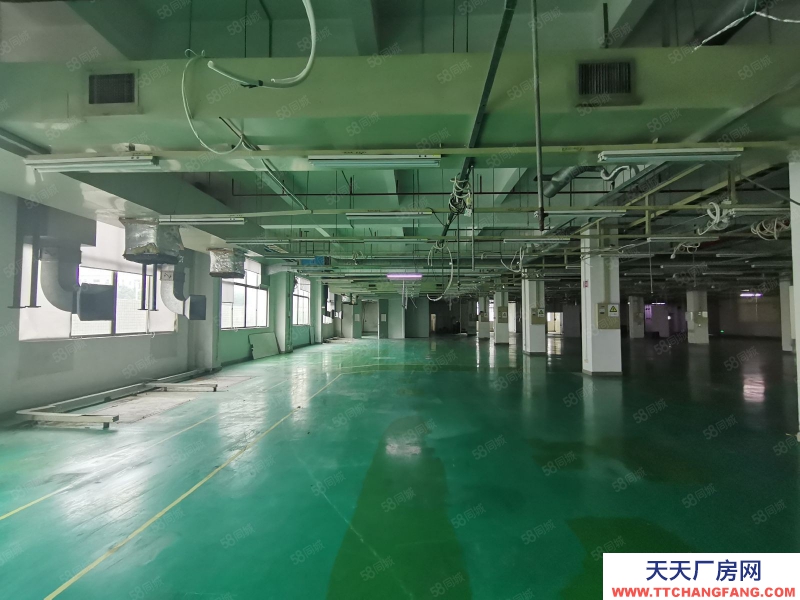 (出租) 深圳100平起租南山西麗陽光工業(yè)區(qū)1000平標(biāo)準(zhǔn)廠房出租倉庫招租