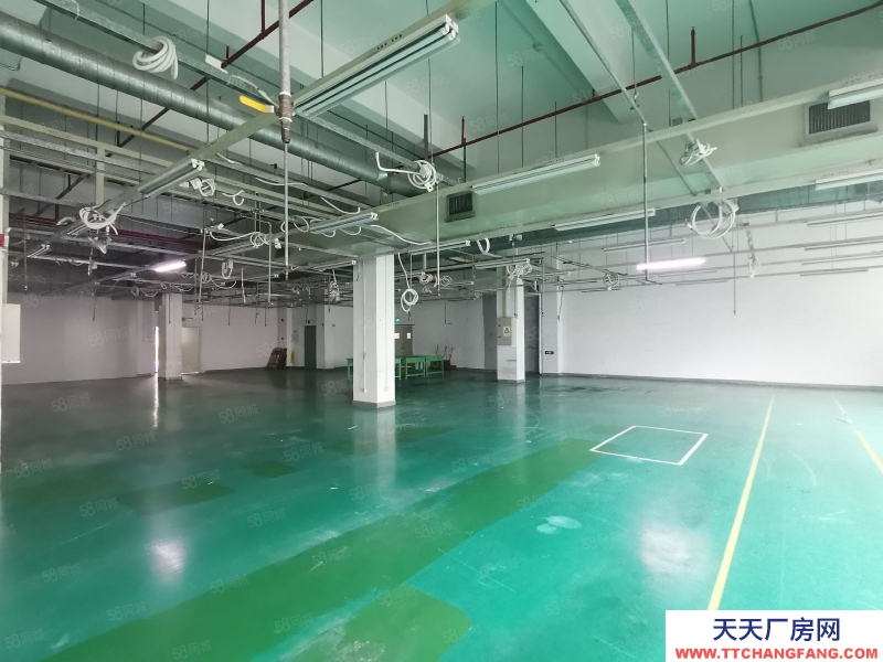 (出租) 深圳100平起租南山西麗陽光工業(yè)區(qū)1000平標(biāo)準(zhǔn)廠房出租倉庫招租