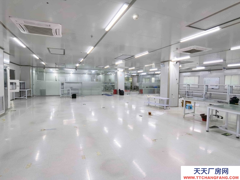 (出租) 深圳獨(dú)門獨(dú)院整棟10萬級(jí)無塵車間廠房12000平,配套完善