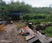 (出租) 可租可轉(zhuǎn)讓怎樣的話共有十畝，可以養(yǎng)豬與其他都可以的