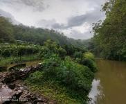 (出租) 可租可轉(zhuǎn)讓怎樣的話共有十畝，可以養(yǎng)豬與其他都可以的