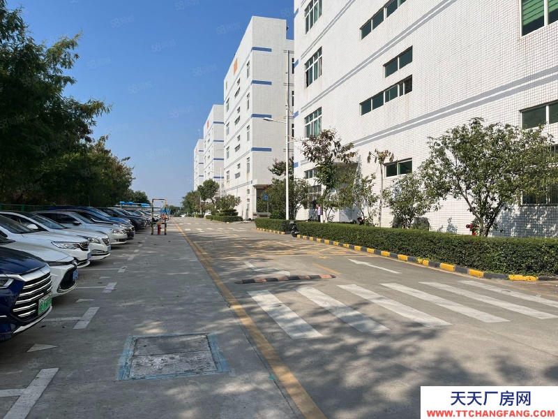 (出租) 深圳西麗2樓500至整層2395平精裝修廠房出租倉庫出租!低價!