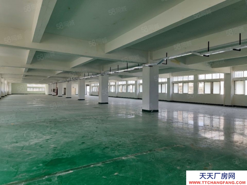 (出租) 深圳西麗獨棟9420平方可分租低價廠房出租帶卸貨平臺適合辦公研發(fā)