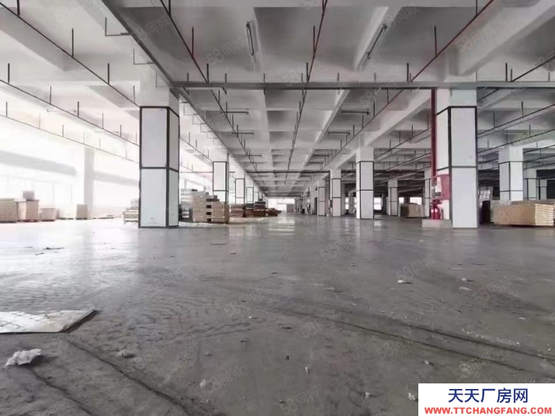 (出租) 深圳科技園原房東紅本廠房沒有行業(yè)限制160平起租至8000平