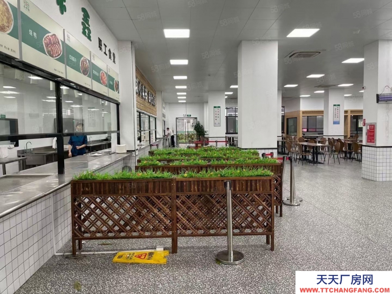 (出租) 深圳石巖高速出口獨(dú)門(mén)獨(dú)院廠房精裝修12000平米