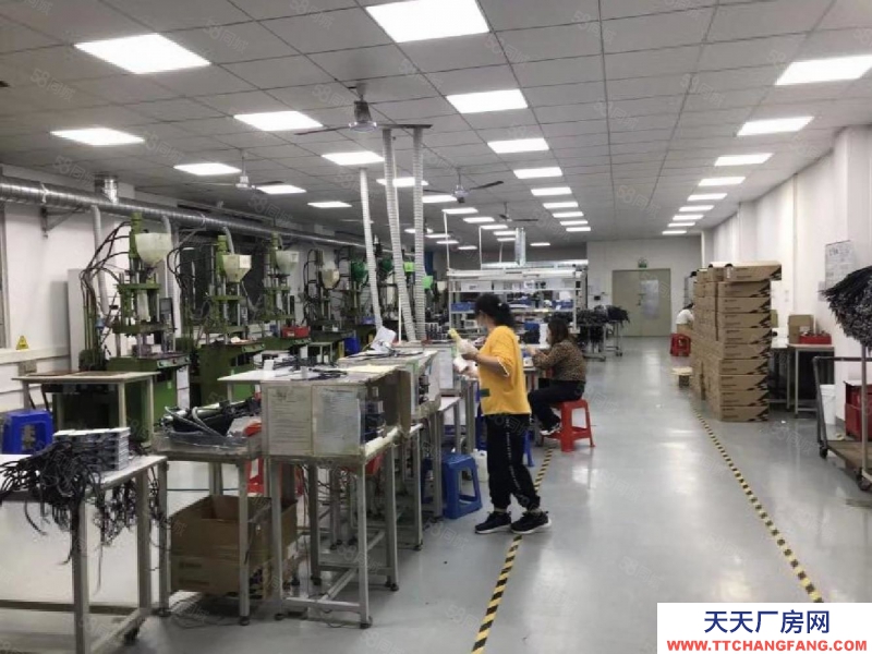 (出租) 深圳公明長圳廠房，出租1樓3300平精裝廠房出租