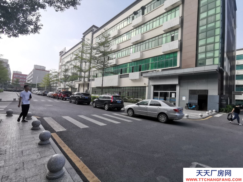 (出租) 深圳龍華高新科創園整棟19000平可申請租金補貼有紅本現低價放租