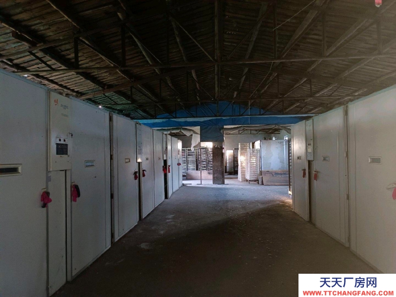 (出租)鞍山立山區 場地近3000平，廠房近800平。