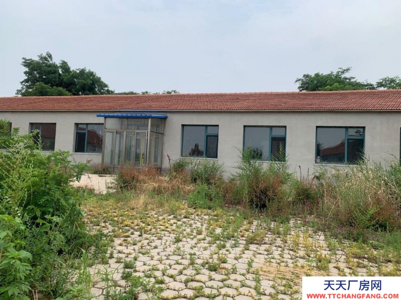 (出租) 鞍山鐵西鞍海道旁，大面積，可售可租，價錢低， 有動力電