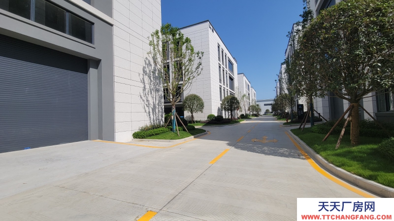 出租青白江全新高品質單層鋼結構廠房 現房隨時入駐