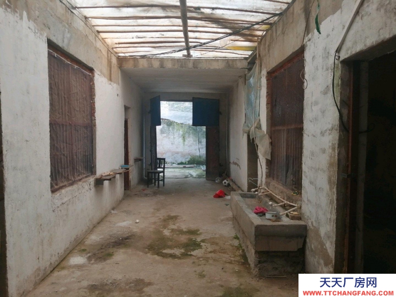 菏澤單縣獨門獨院住宅，也可以當倉庫