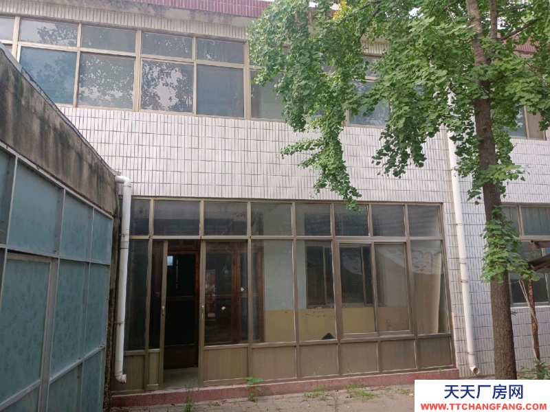 菏澤單縣獨院，在菜市場中間，水電都有，兩層半