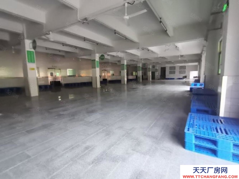 (出租) 深圳福田平湖白坭坑一樓1500平標準冷庫凍庫倉庫廠房出租