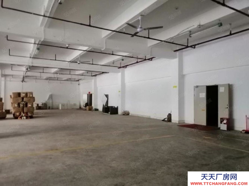 (出租) 深圳龍華大浪工業園1000平廠房出租精裝修大型園區可補貼可分租