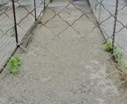 (出租) 住房二套。院內(nèi)可以用做養(yǎng)狗