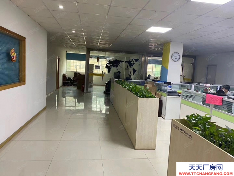 (出租) 深圳龍崗新生社區(qū)原房東紅本5000平廠房出租帶裝修超高使用