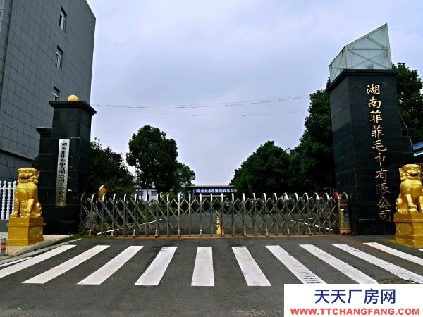 岳陽市湘陰區(qū) 廠房直租，免物業(yè)保險(xiǎn)費(fèi)！有持續(xù)廠房維護(hù)服務(wù)！