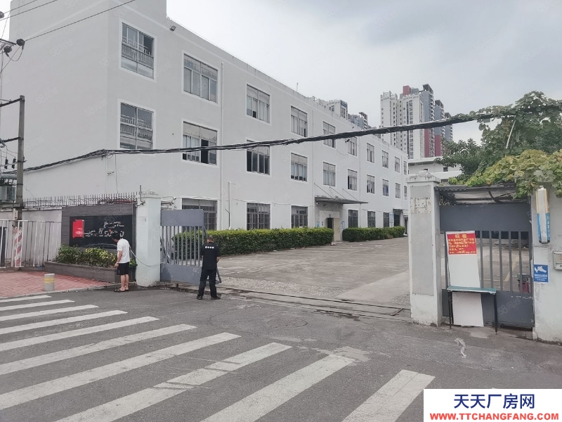 (出租) 深圳龍崗新生1000平精裝修原房東科技園獨(dú)院廠房倉(cāng)庫(kù)出租！可分租