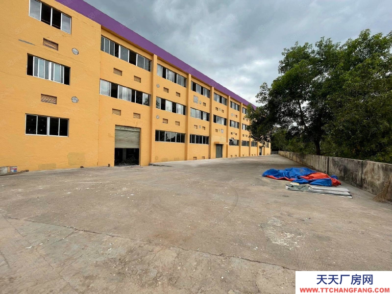 (出租) 坂田獨(dú)院獨(dú)棟2000平廠房出租 小獨(dú)棟 可分租 低價(jià)倉(cāng)庫(kù)出租