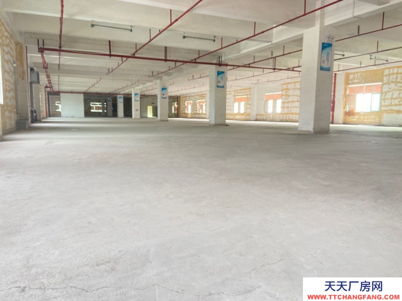 (出租) 坂田獨院獨棟2000平廠房出租 小獨棟 可分租 低價倉庫出租