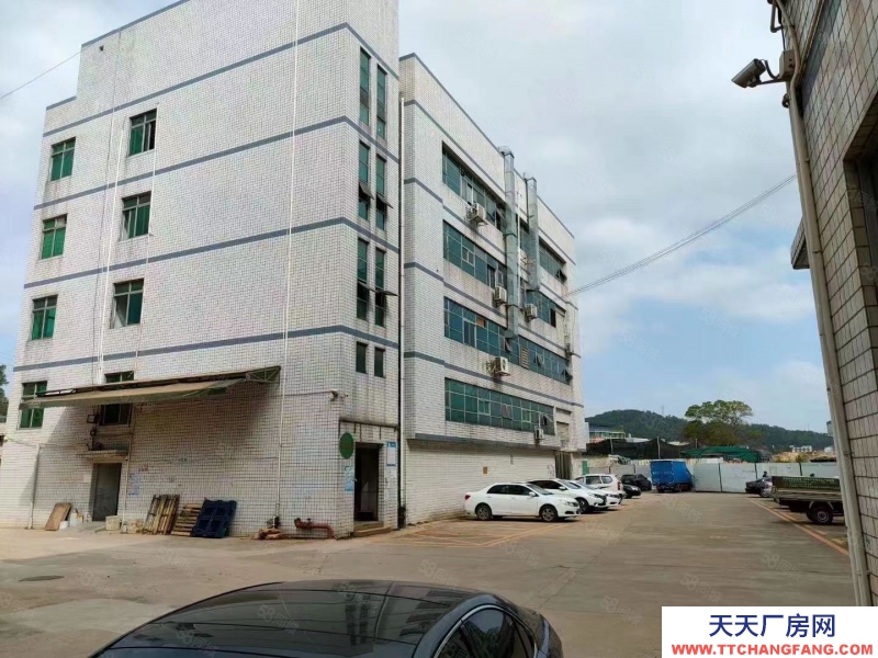 (出租) 深圳羅湖水貝工業區新出一二樓2250平米，精裝修可分租