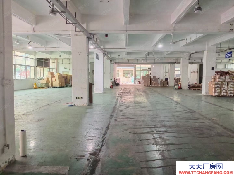 (出租) 深圳羅湖水貝工業區新出一二樓2250平米，精裝修可分租