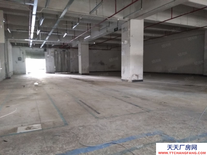 (出租) 深圳清水河關(guān)口,一樓1100平樓1500平可分租