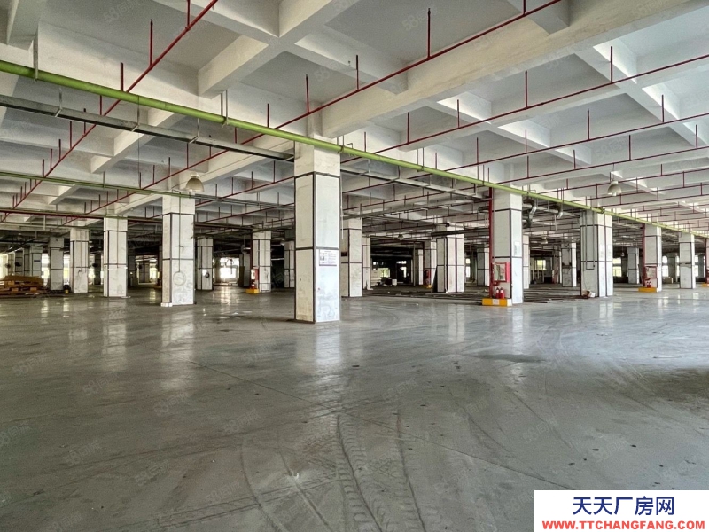 (出租) 深圳鹽田獨門獨院4萬平方廠房倉庫出租，空地大，帶貨臺,可分租