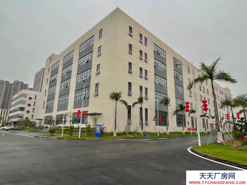 (出租) 深圳鹽田地鐵站高新項目獨棟12000平精裝修辦公室倉庫廠房出租