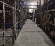 (出租) 寬城合隆廠房樓房倉庫出租(個人)