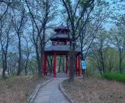 (出售) 樂山鎮西行3公里路好走了