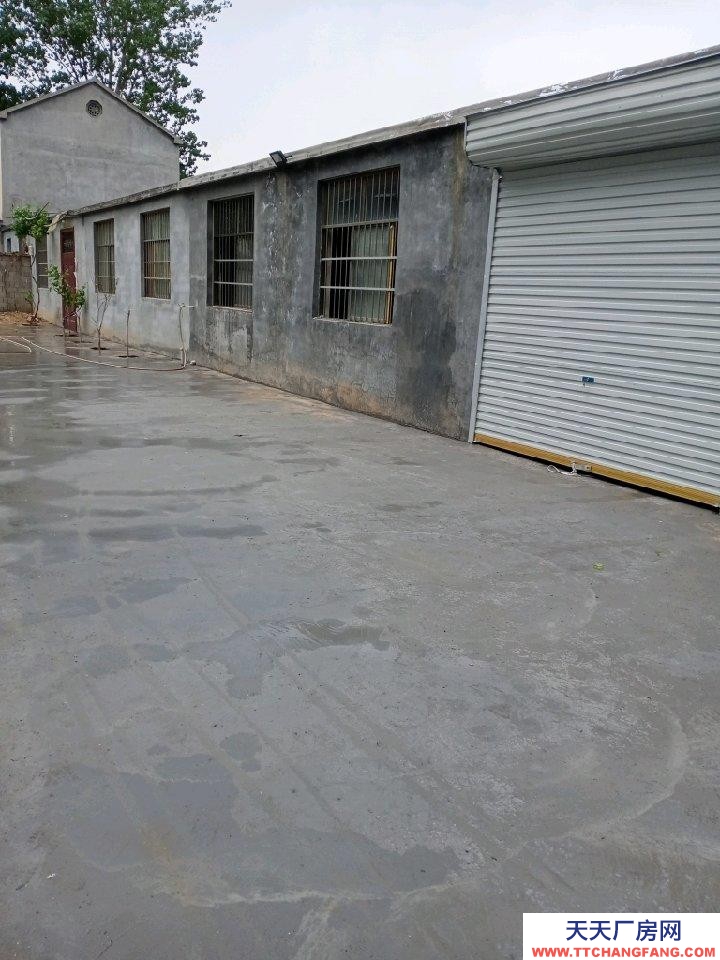 菏澤鄆城4一6間平房，有水有電，靠大路