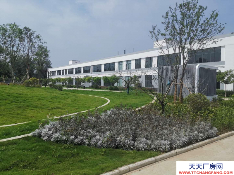 菏澤鄄城帶地坪漆標準框架廠房出租，歡迎生產型企業入駐