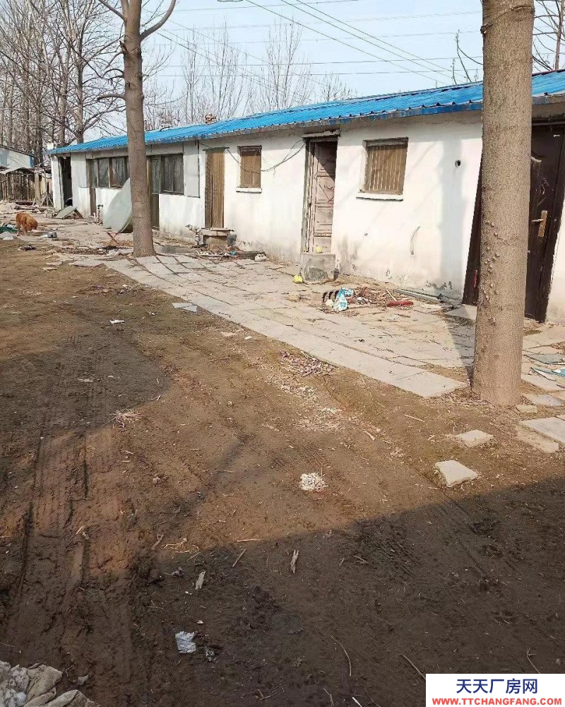 菏澤鄄城有廠房一個，房子九間，果樹180顆，，適合做飯店，及其他。