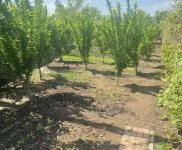 (出售) 出售二道蓮花山單獨小院